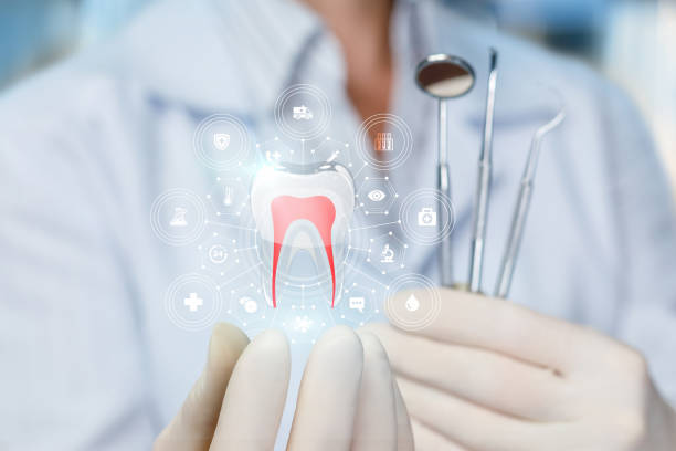 Best Traditional Braces  in Orangeville, UT
